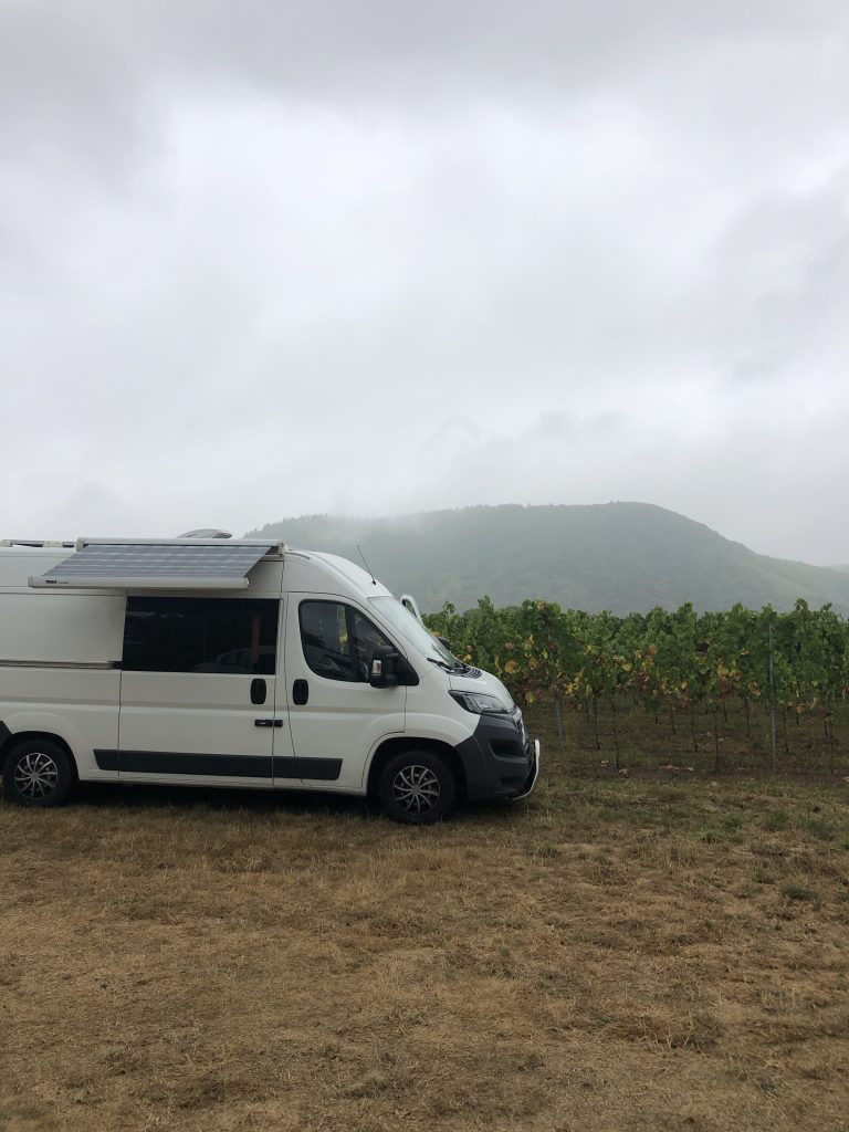 Beilstein Mosel Vineyards Camping