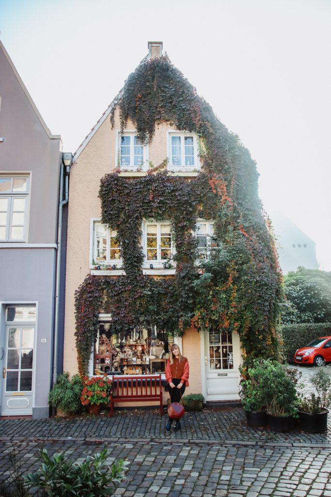 Bremen schnoor colorful houses
