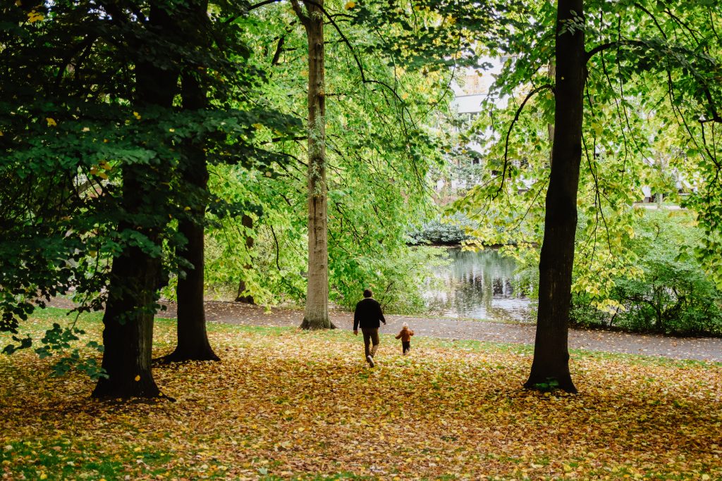 Bremen Wallanlagen park autumn